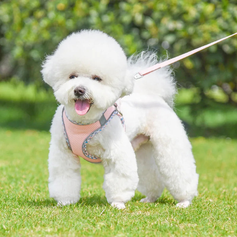 Arnés Reflectante para Perro con Correa Ajustable y Transpirable