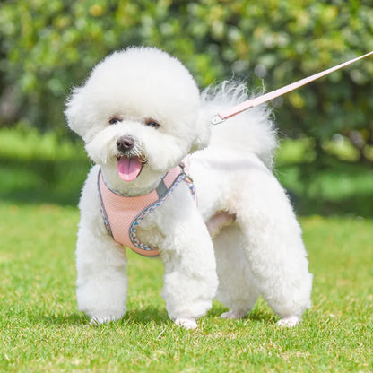 Arnés Reflectante para Perro con Correa Ajustable y Transpirable